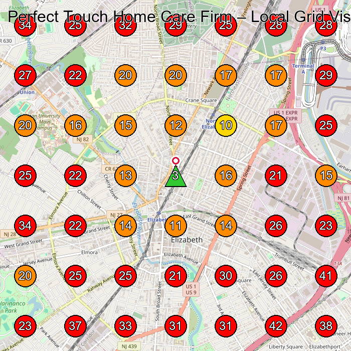 Perfect Touch Home Care Firm GeoGrid visibility map for Home Health Care Service in Roselle